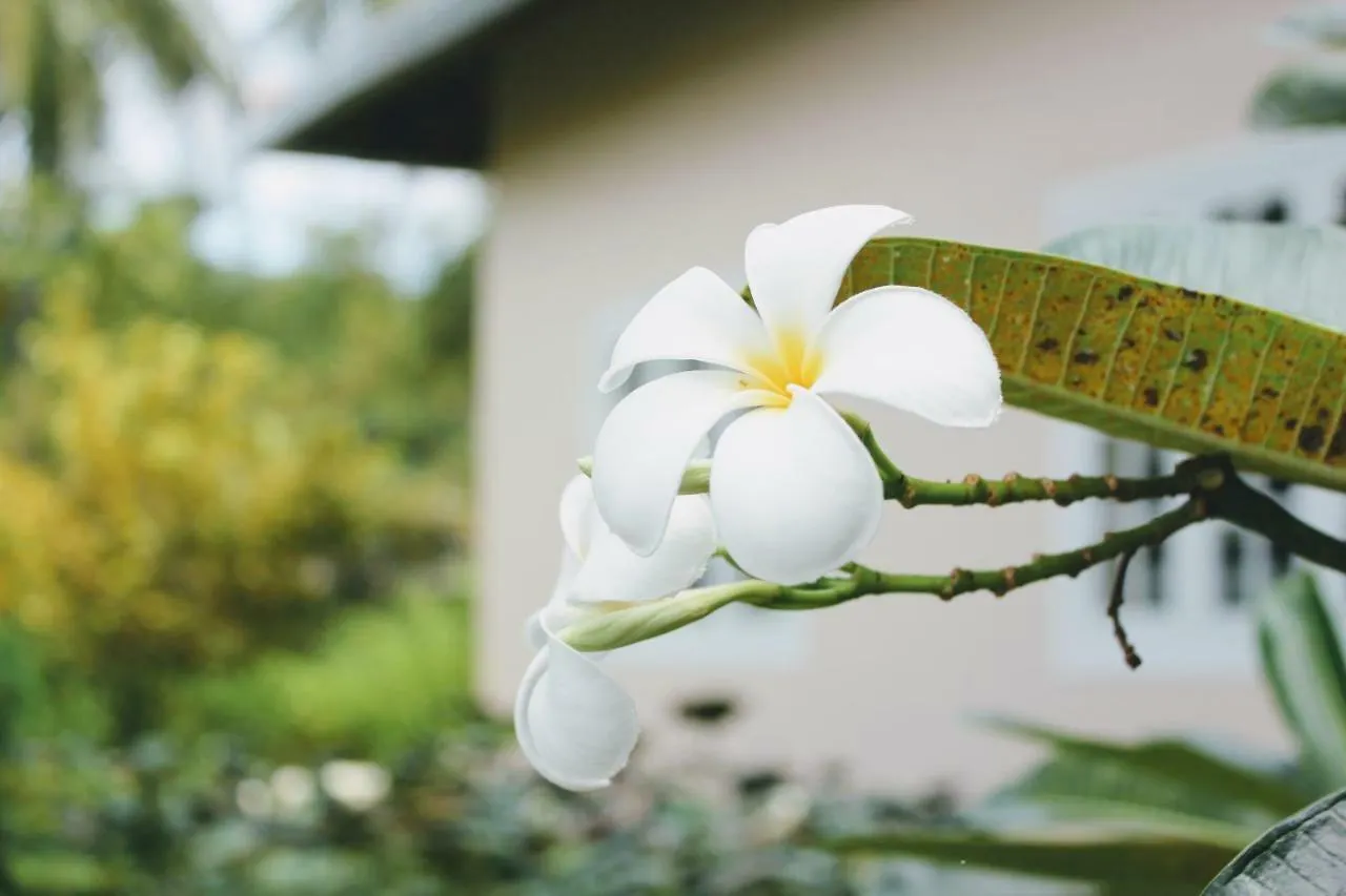 The Trang Villas Nha Trang 3*,